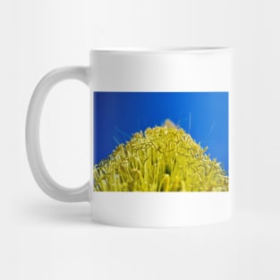 oaxaca garden landscape photograph ecopop Mug